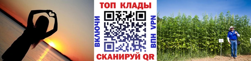 Виды наркотиков купить Куйбышев Амфетамин  APVP  ГАШИШ  Меф мяу мяу  МАРИХУАНА 