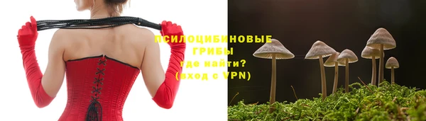 прущий лед Алексин