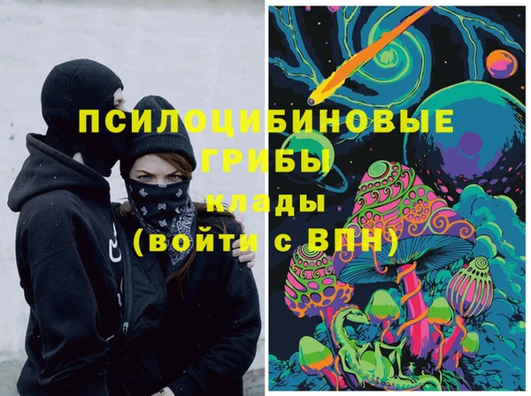 молекула духа Алексеевка
